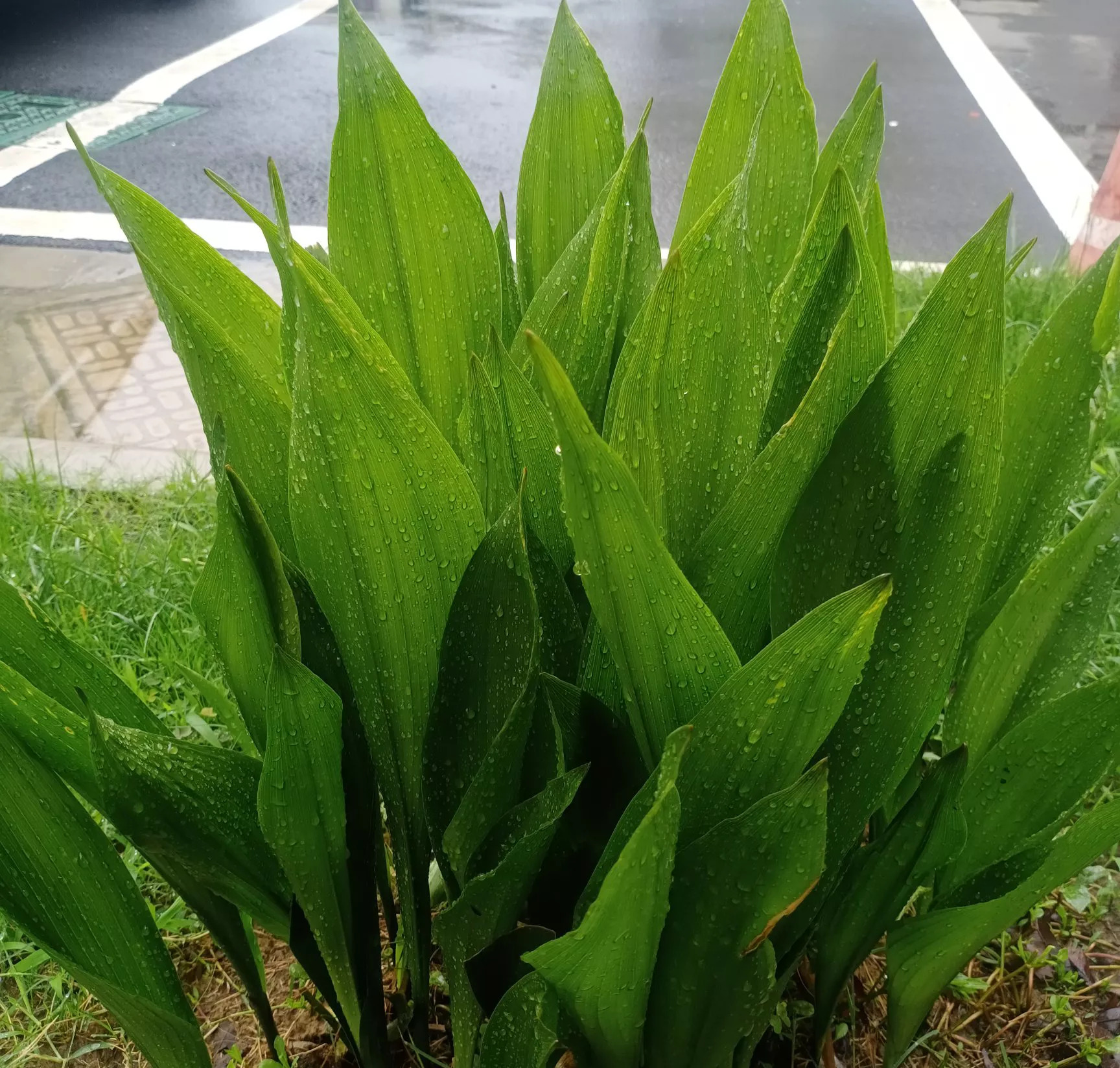 特朗普怒了：伊朗你竟敢打我脸！











**标题：** 特朗普急眼