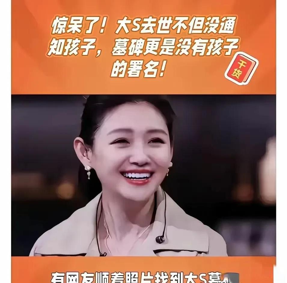 但凡他们对那两个失去母亲的孩子有点善意多点关爱，但凡她们在大S病重那些天能有一丝