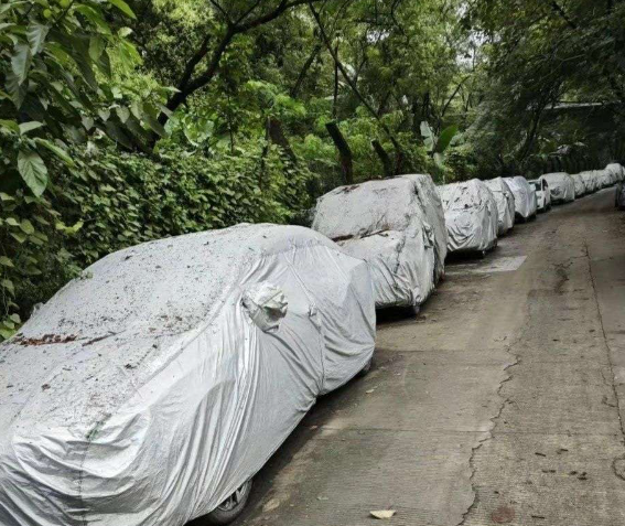 深圳有一条偏僻的道路边，停满了不开的小车，几乎每辆车都罩着车衣，有什么说道吗？