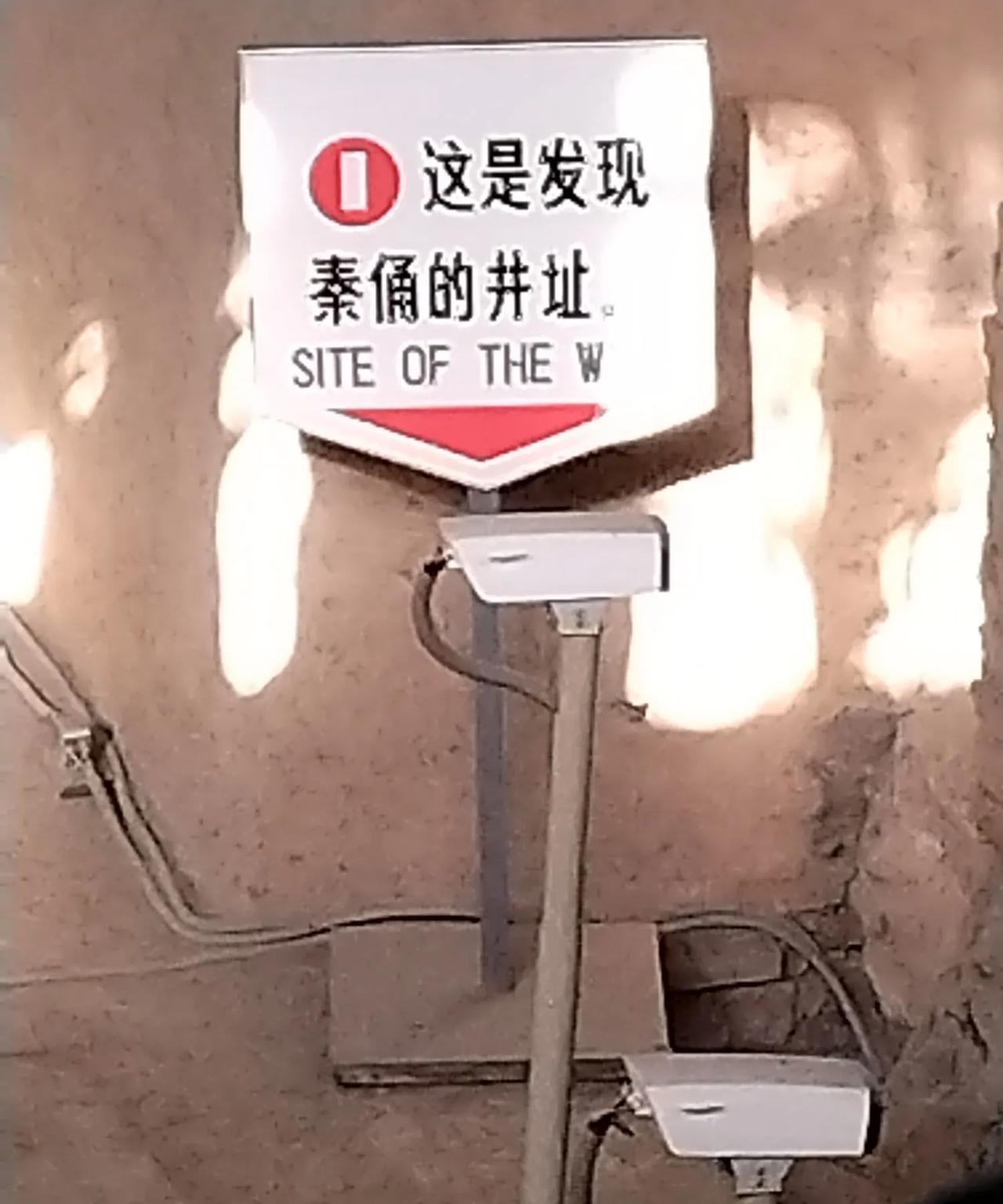 据极目新闻报道，5月30日下午6时，有一男子跳下秦始皇兵马俑坑，并推倒两尊兵马俑