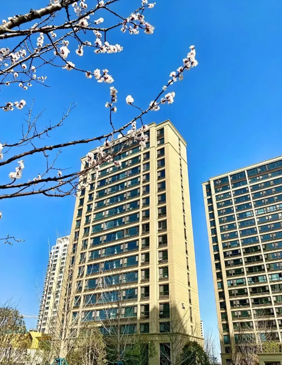 一觉醒来
开发商和二手房东都沉默了！
住建部要出台最新的住宅规定，新房层高不能低