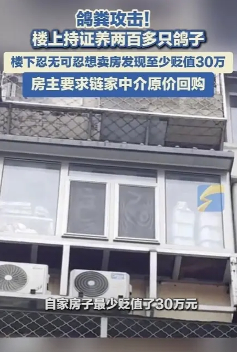 北京，男子7年前花235万买下的房子，却被楼上养的200多只鸽子搞得无法正常生活