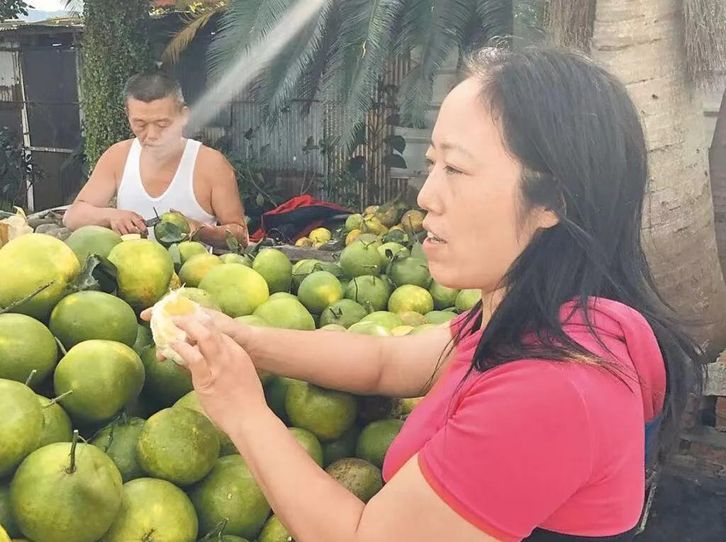 邓万华遭解职案：台独当局新花样
        最近台湾当局内政部门要求花莲县对