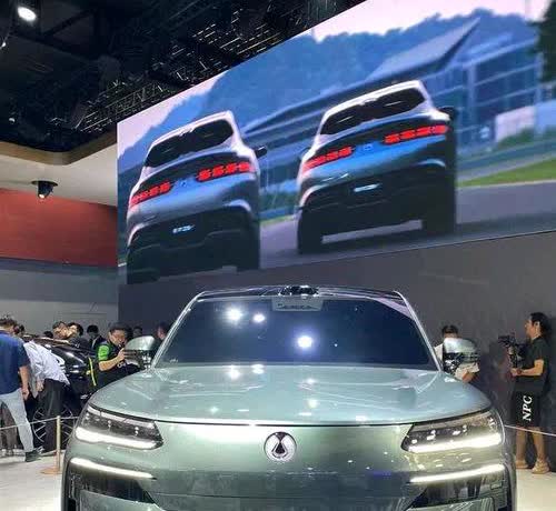 专家预测，未来中国汽车品牌只剩下六家：

1、比亚迪，可能性占99%
2、