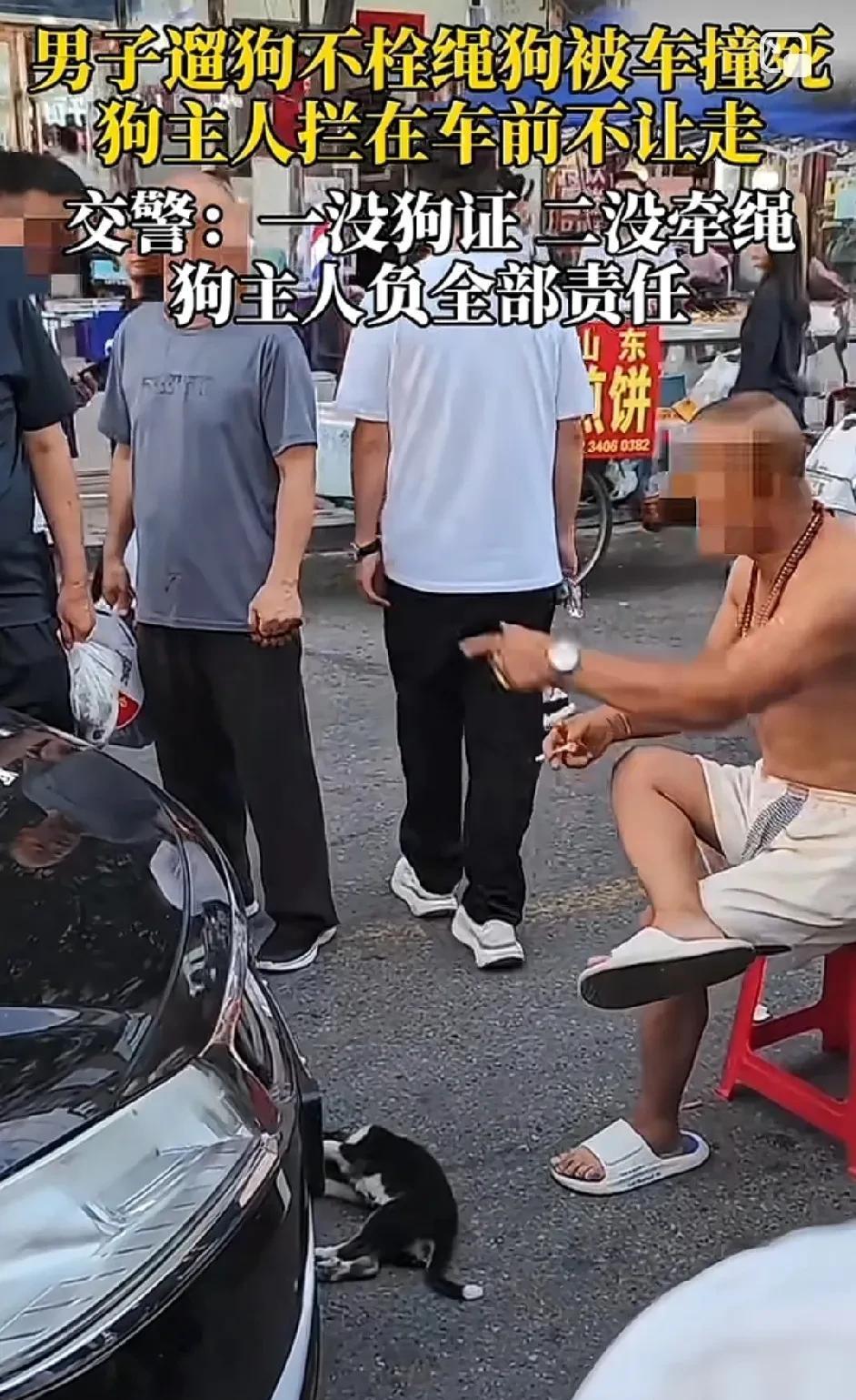 本以为能讹点钱，
结果全责！[捂脸]
车主这个解气啊！
男子遛狗不栓绳狗被撞死，