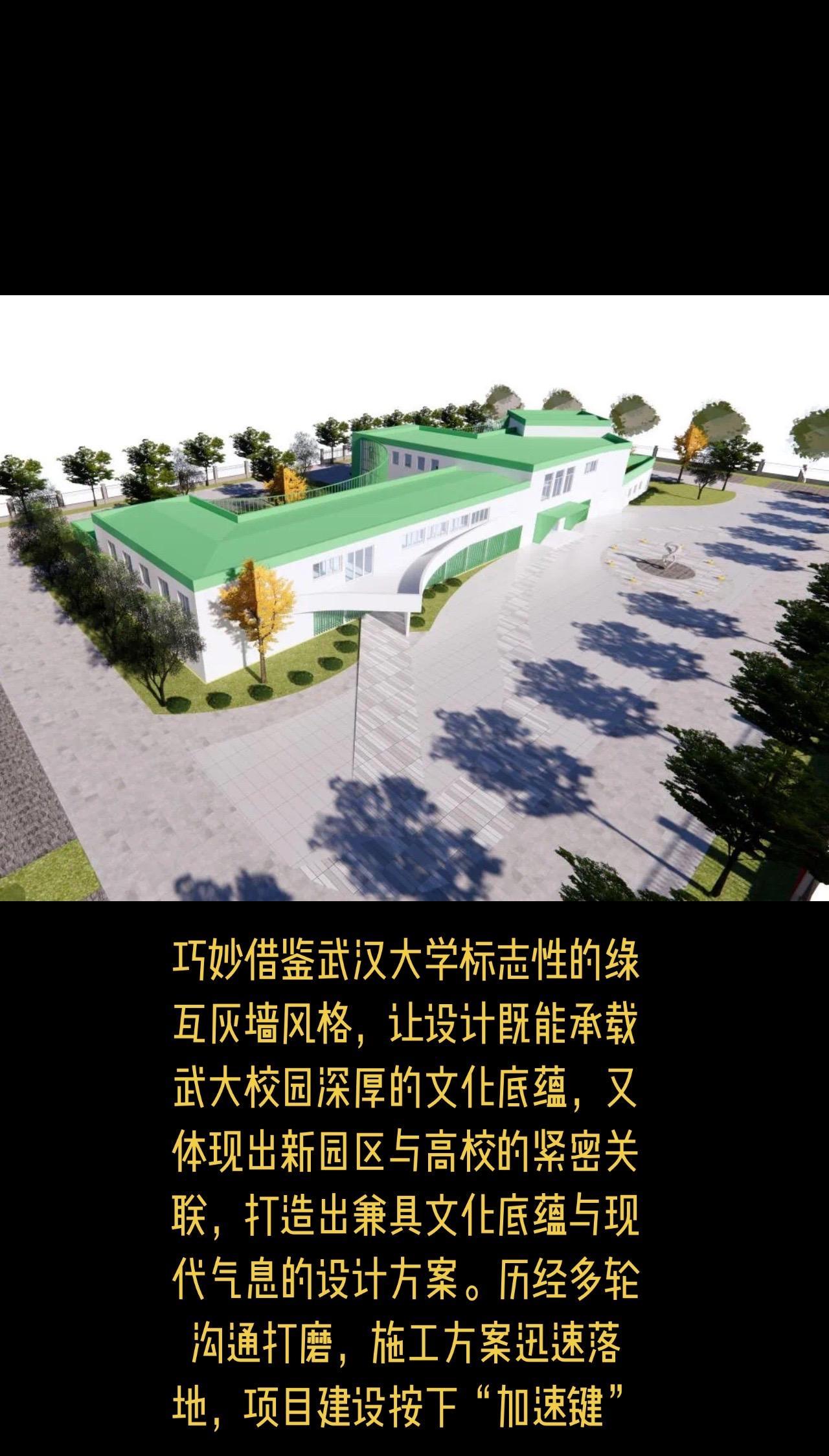 长江新区武汉大学项目图爆出