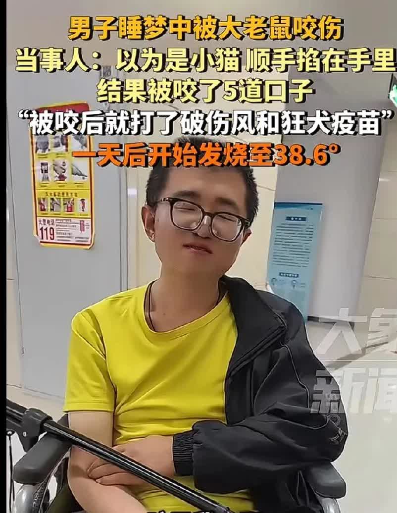 男子半夜听到床头柜有东西爬，以为是刚养的小猫，把它掐在手里，被咬了5道口子，后来