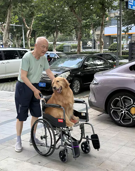 南京最幸福的狗子出现了