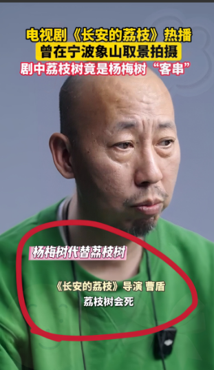 家人们谁懂啊！
《长安的荔枝》又出幺蛾子了！导演曹盾承认用杨梅树代替荔枝树，理由
