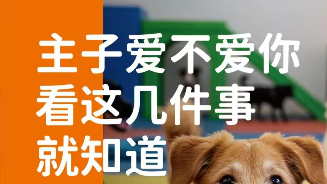 象乡宠物食品 |  主子爱不爱你看这几件事就知道