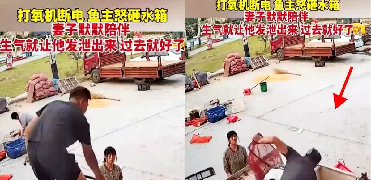 江苏一男子拉了一车鱼回家，不料路上打氧机意外断电，一车鱼因缺氧死了，男子崩溃得怒