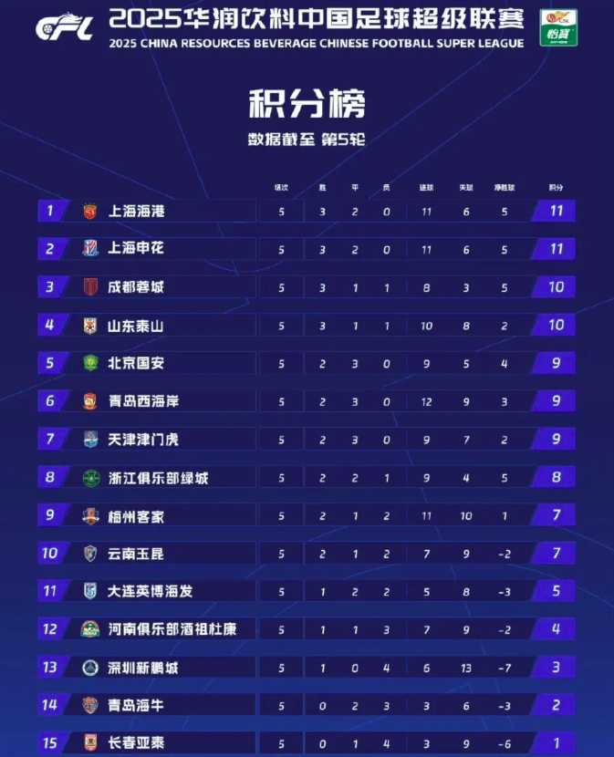 希望球迷给泰山更多包容