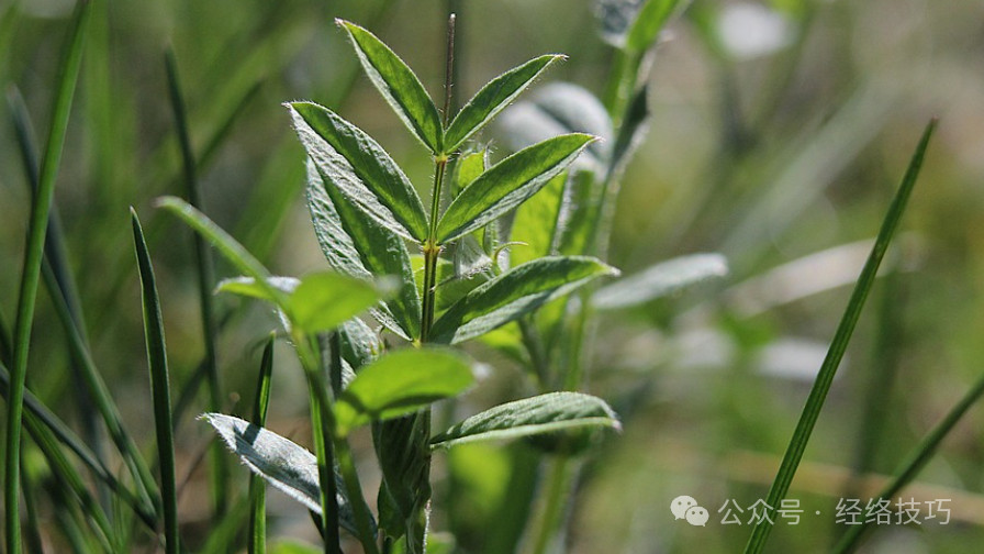 四九天“不动”便是养！早晚做5分钟，躺着就把寒气“请”出去