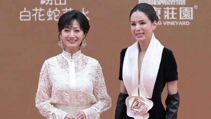 华表奖现场：大嫂高叶造型臃肿，梅婷朴素近人，赵雅芝不老女神
