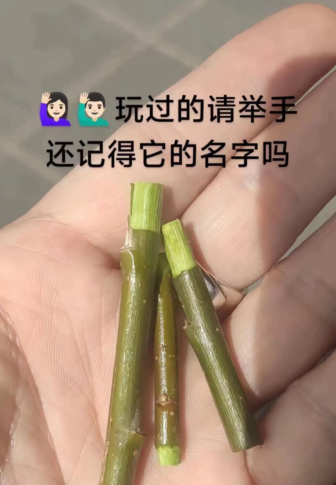 小时候玩过的请举手
#分享童年美好记忆# #回忆杀#