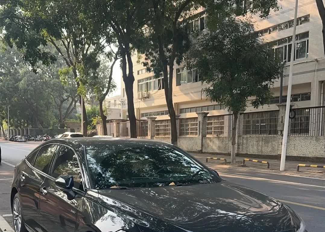 年轻人还是不建议开亚洲龙开了，车身设计偏沉稳，感觉有没有激情得分人，高速上基本开