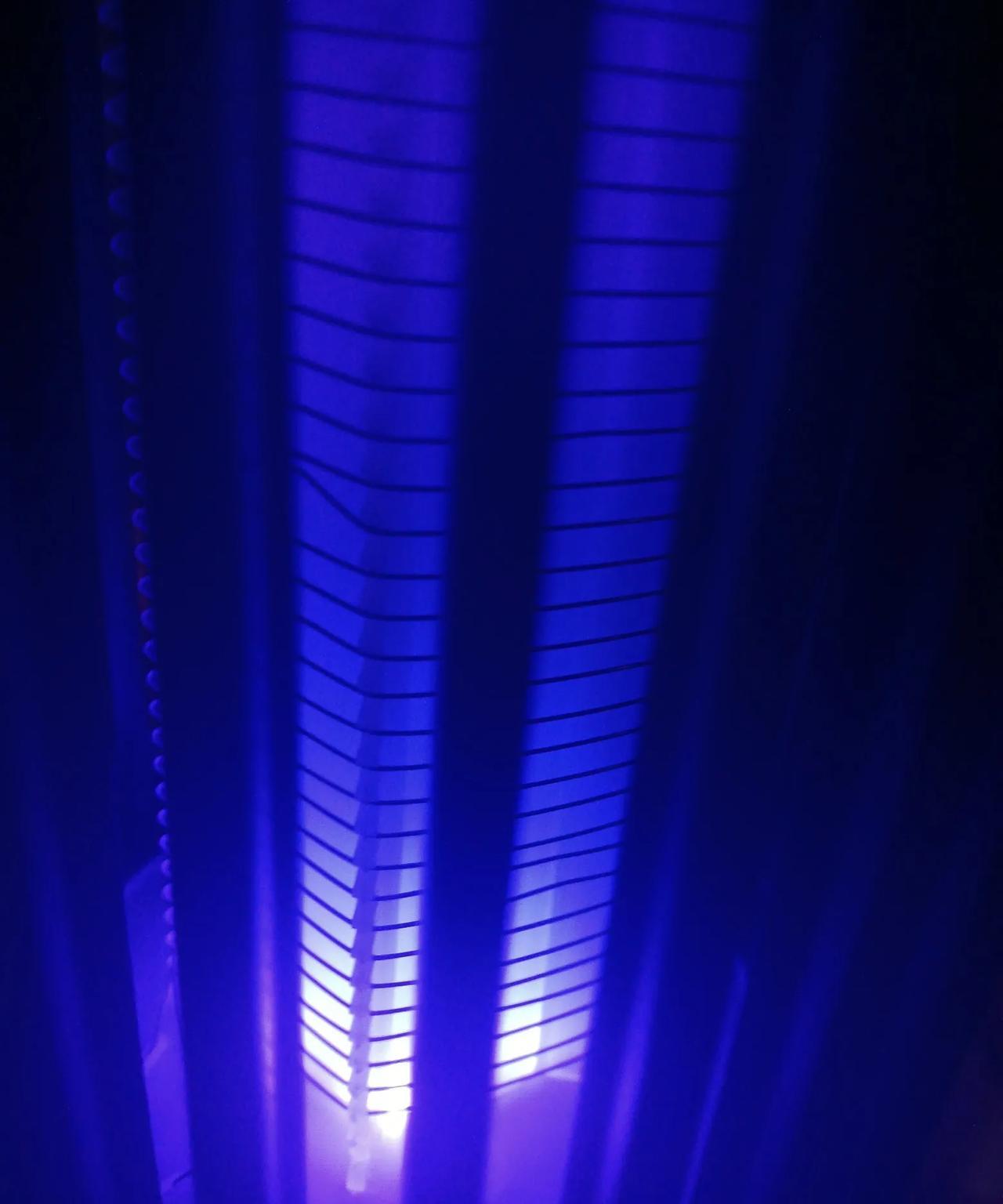 网上买的灭蚊灯收到了！吃过晚饭就迫不及待地插上电，关上照明灯放在卧室里，为了效果