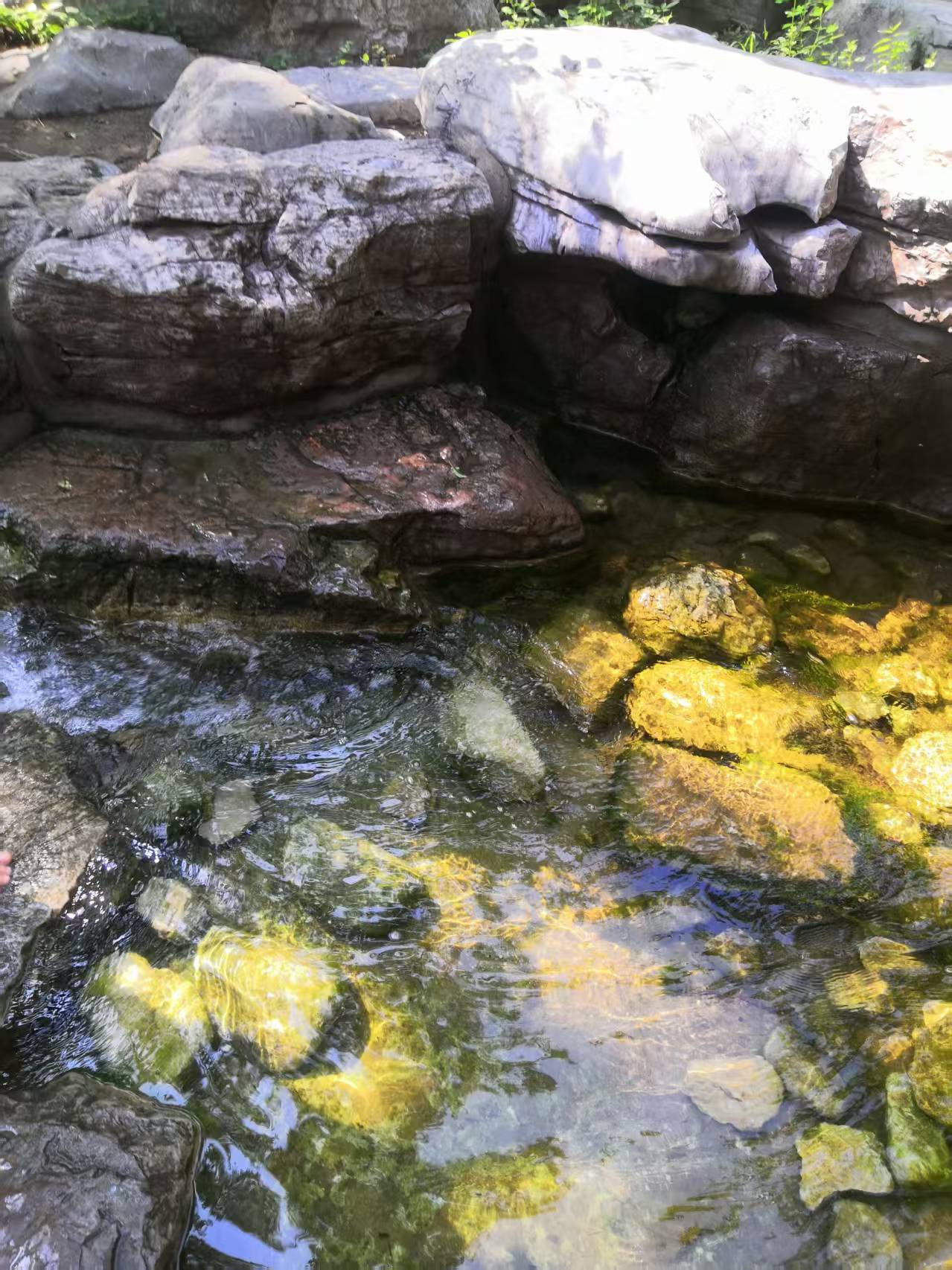 阳光下灿烂，风雨中奔跑，相遇是很奇妙的事，请一定做好准备