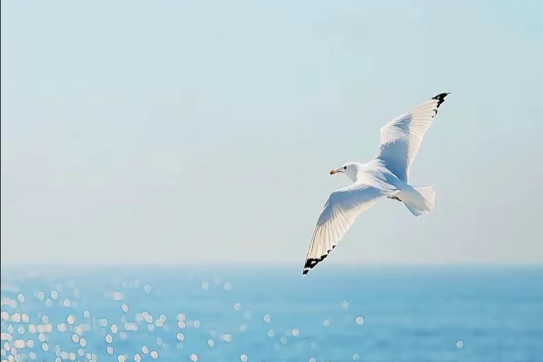 知道为什么网红带货都卖吃的吗？昨天跟一个300多万粉丝的大哥聊天才明白，他之前做