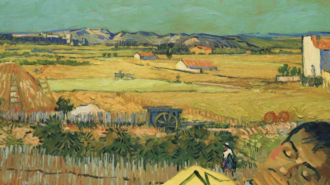 《至爱梵高·星空之谜 》影评｜用梵高的笔触来说梵高的故事