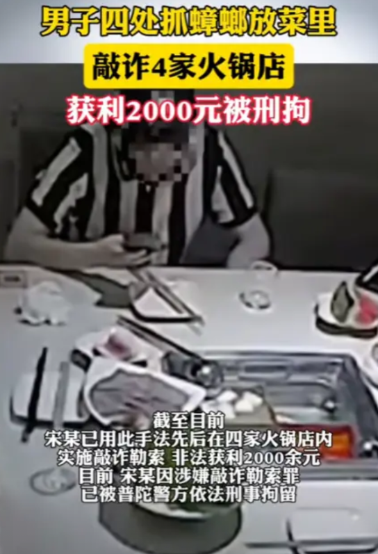 “太缺德了！”2025年，上海，一男子四处抓蟑螂放进菜里，敲诈4家火锅店，直接获