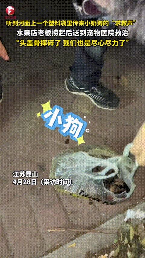 “太残忍了！”江苏昆山，男子正卖水果呢，突然就听到河面上传来了一声声奶狗的“求救