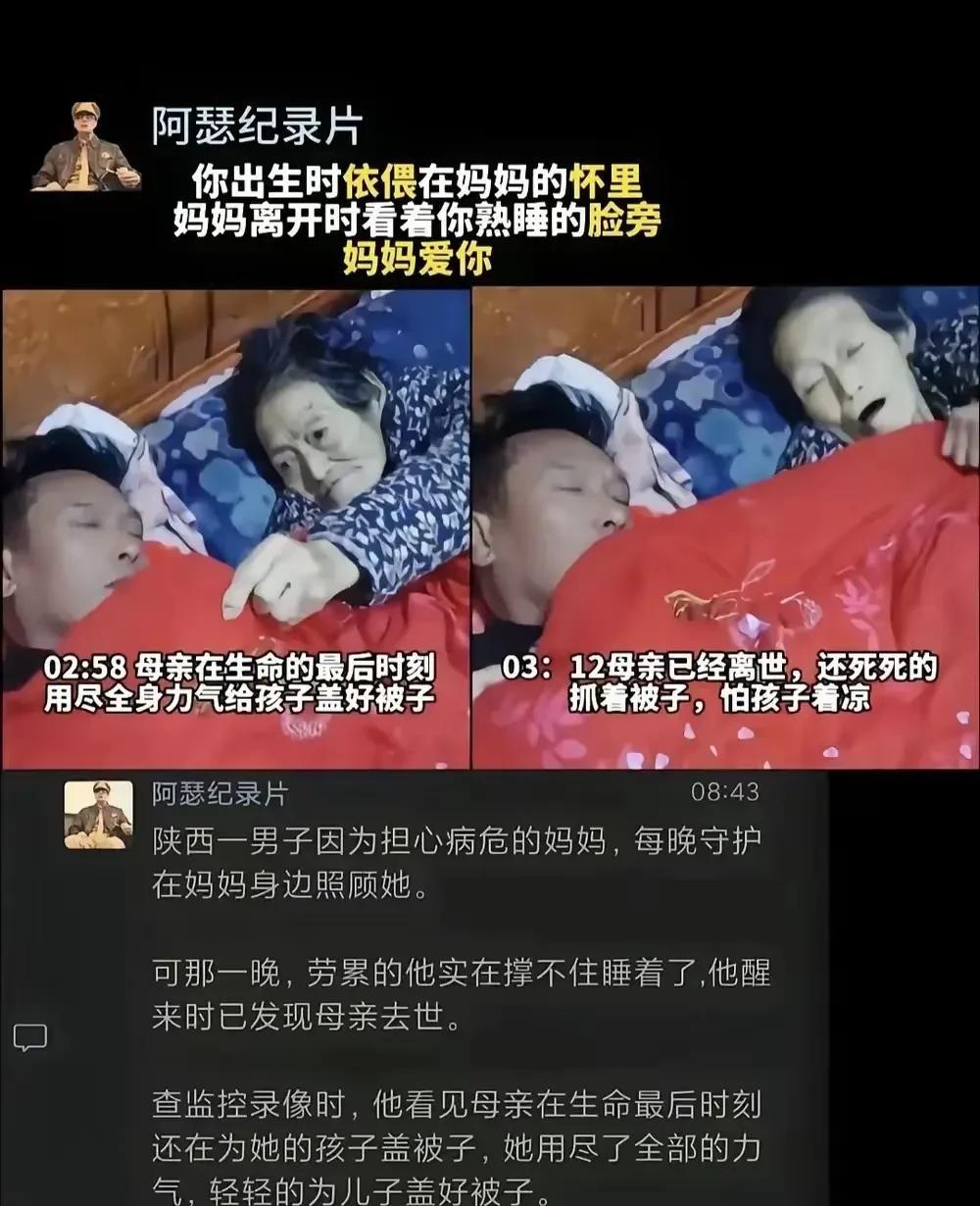 [我想静静][我想静静][我想静静]