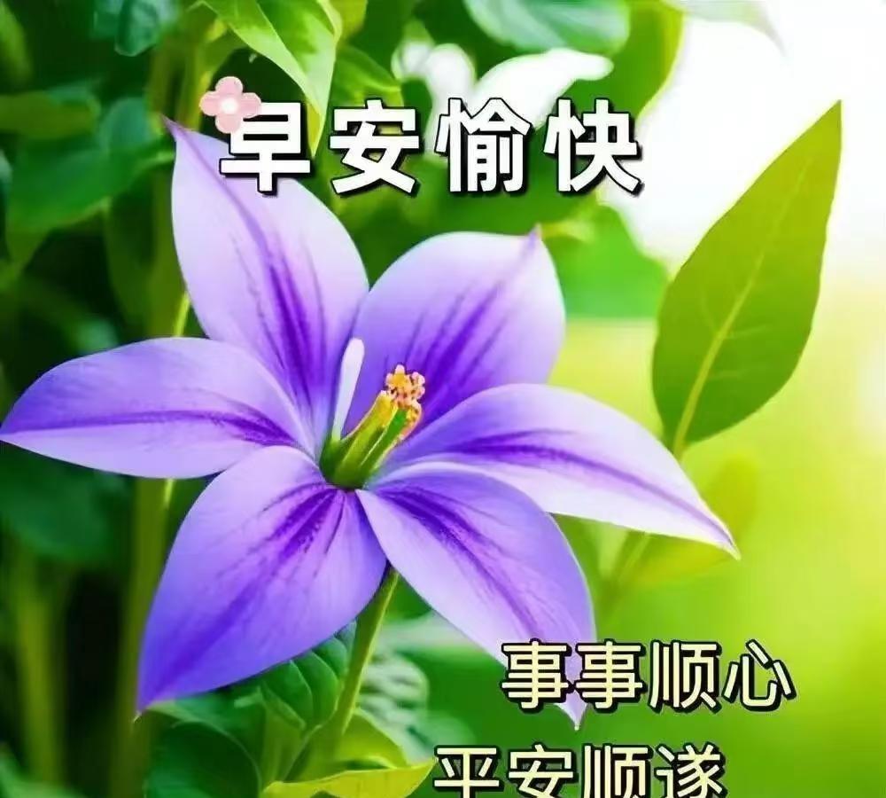 早上好，今天是10月4日星期六。
中国排协公布U16女排第二阶段集训名单，来自黑
