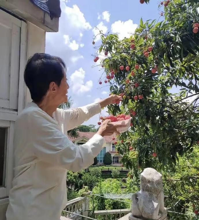 虽然方刚是心理学博士，还是有名的编剧，导演，妥妥的才子，但是他真的没有才子的风流