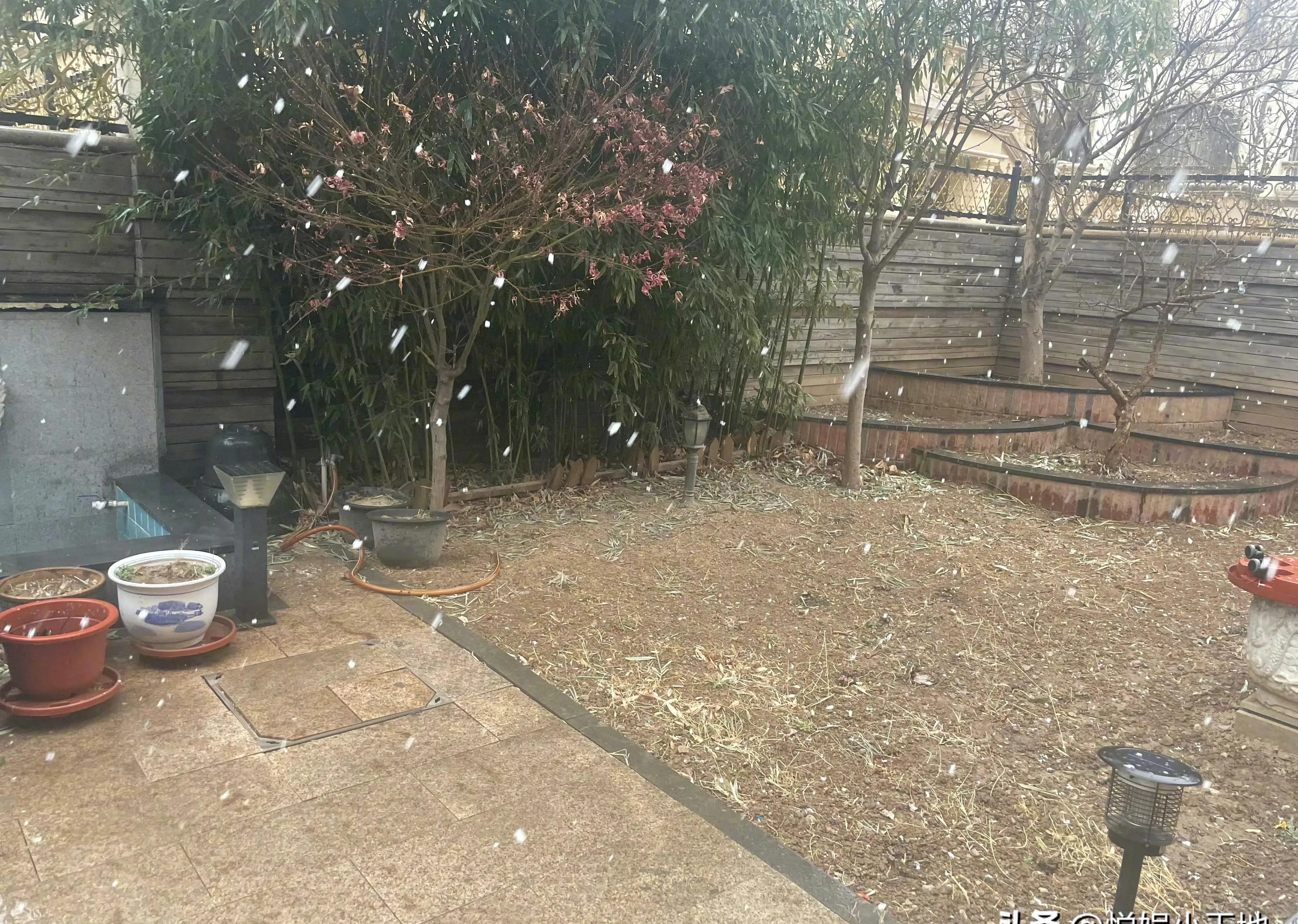 张一山雪天 “惨状”，与杨紫形成鲜明对比
