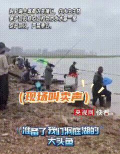 洞庭湖边，有人在垂钓，有人在拿着喇叭，指着鱼呼喊：“洞庭湖里的大头鱼，现炒的啊，