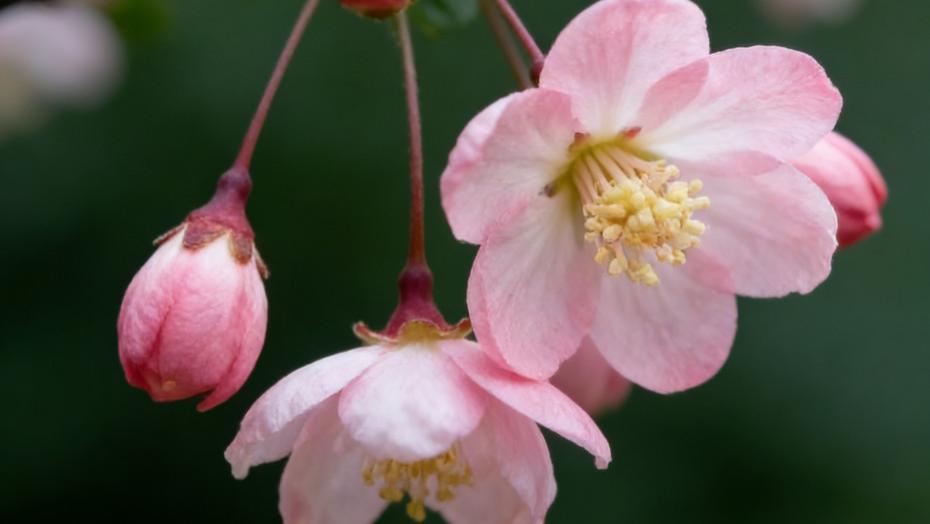 让感情越处越暖的 4 种滋养，比任何技巧都管用