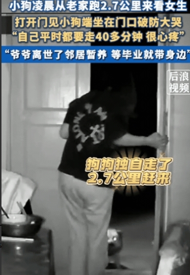 太有灵性了！四川，女生凌晨1点准备睡觉，突然听到门外有狗狂叫，她起初以为是流浪狗