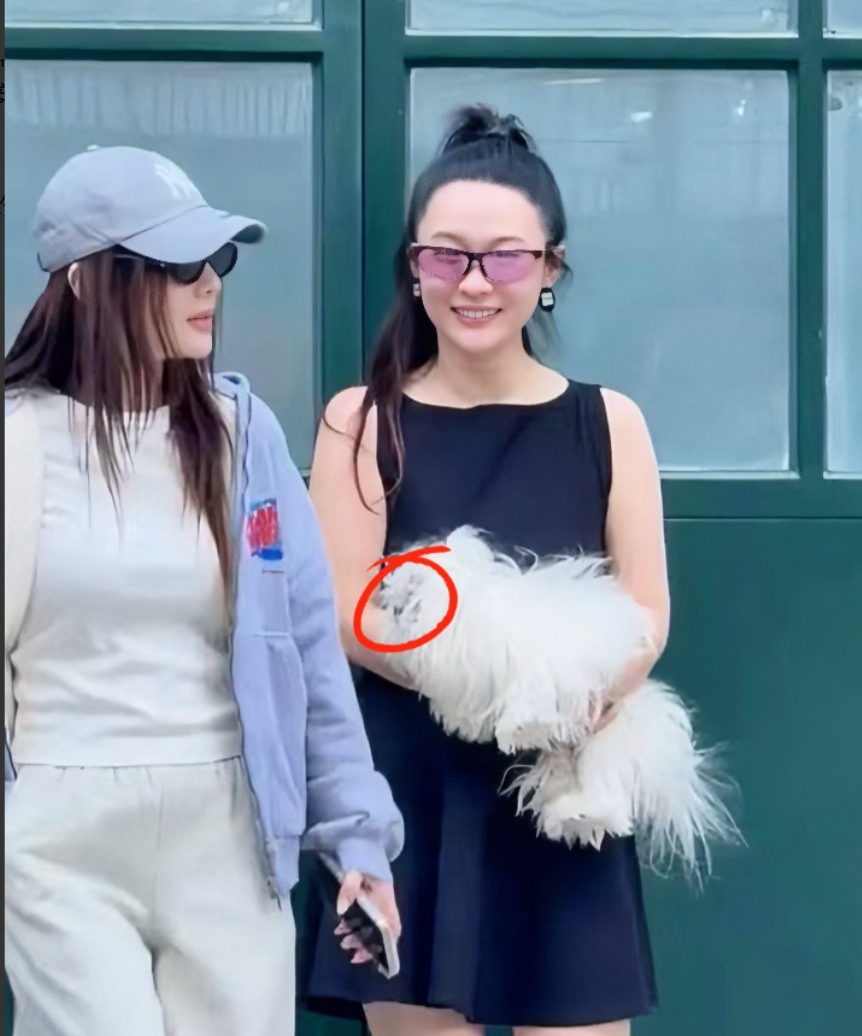 揭秘霍思燕淡出荧幕背后的惬意生活