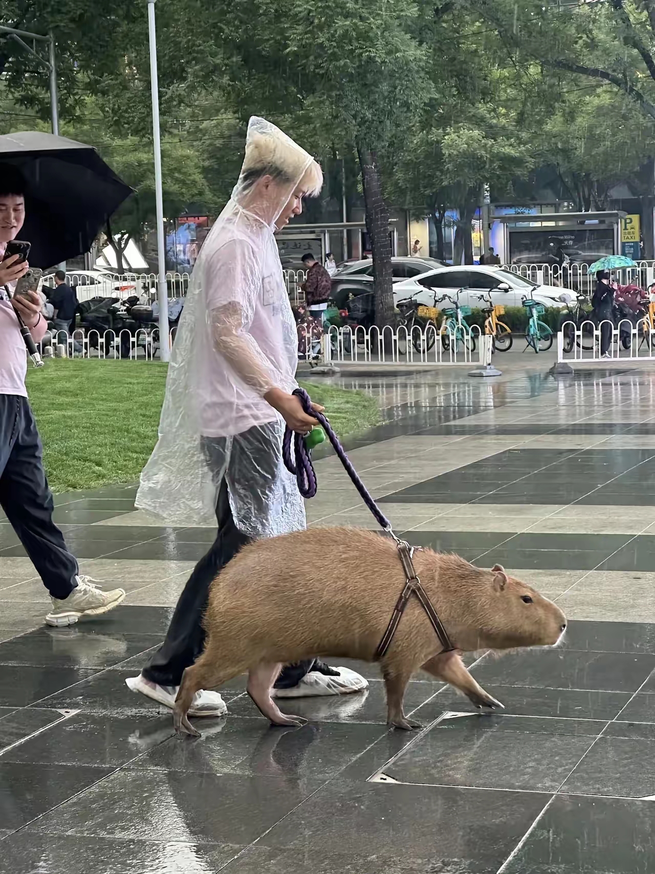 北京真是大城市，