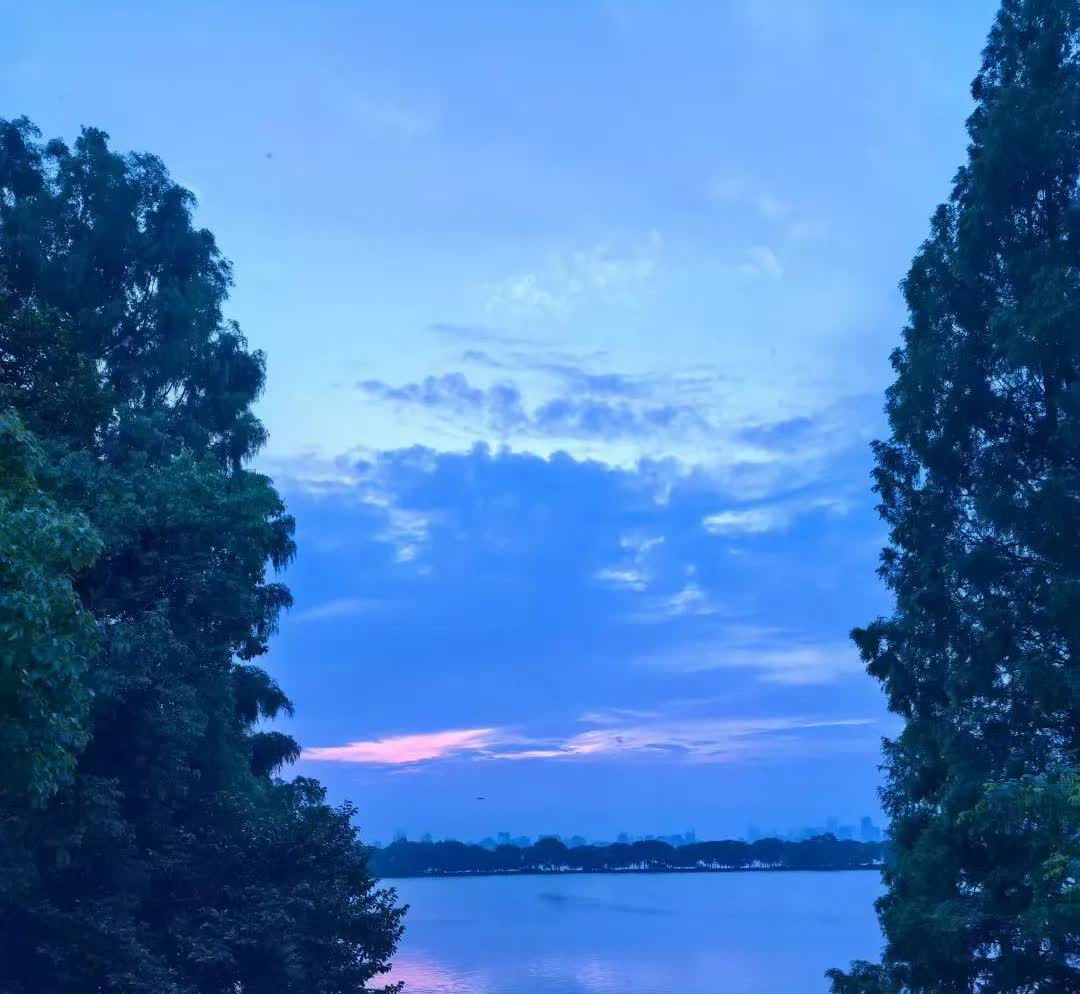 电信网络诈骗屡见不鲜，原因是多方面的。
首先，技术发展让诈骗更便利。如今大家生