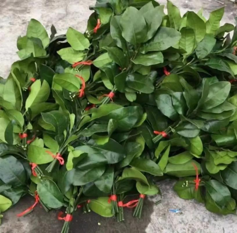 简单好用除晦净运法
1.盐米化煞
粗盐与白米1:1混合，装碗放阳台晒三天，后撒入
