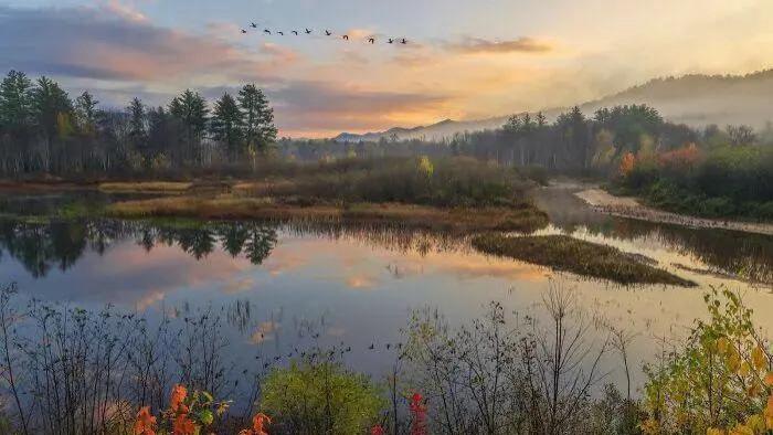 贵州遵义诊所从未踏足，36万罚单为何降临？一场“消失”的关键证人引发的行政诉讼