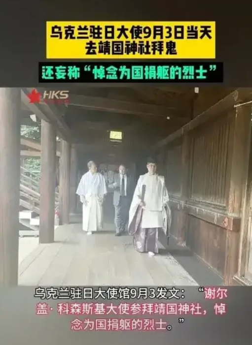 简中乌友“脑子不如”都快成系列连续剧了。

在肥鹅看来，这个群体脑子是真不好使，