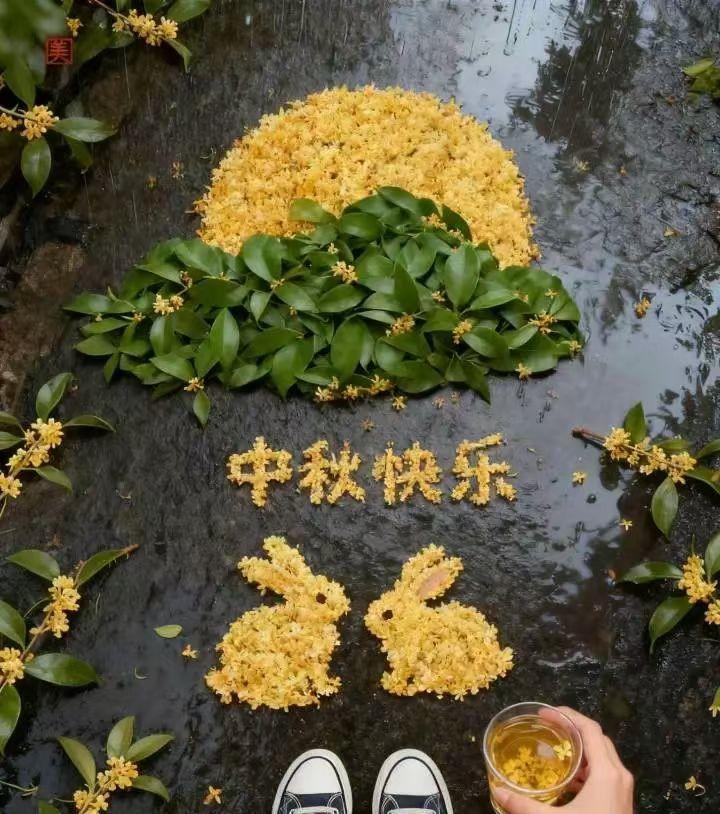中秋快乐，各位亲们！