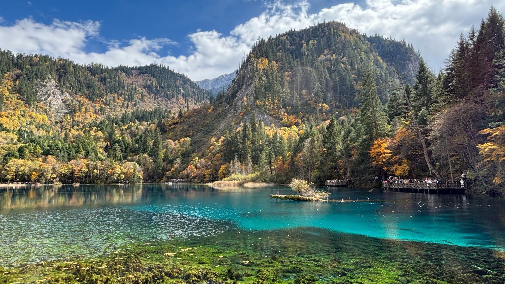 在中国这个5A景区内，竟藏着中国最贵的酒店？