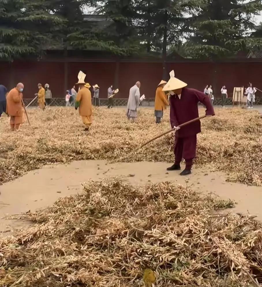 果然没猜错，少林寺新方丈实行新规后，已有30多人离职不干了！
7月29日，释印乐