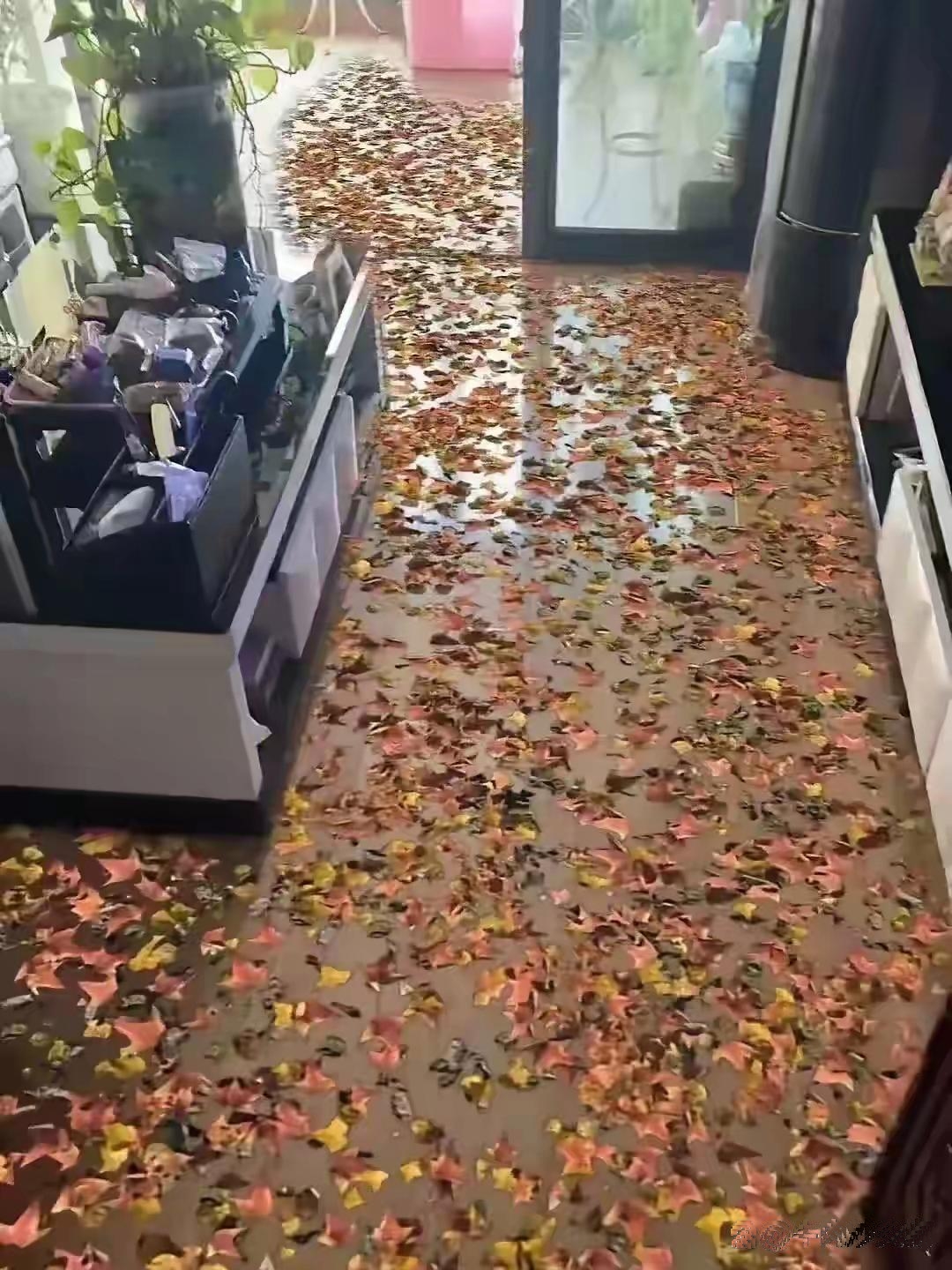 00 后家奇特地砖花色，长辈直呼难以理解