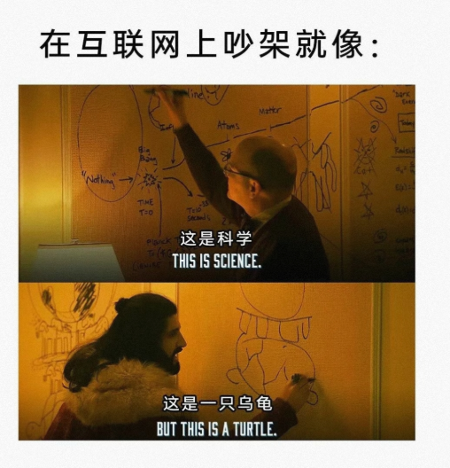 这是一只乌龟