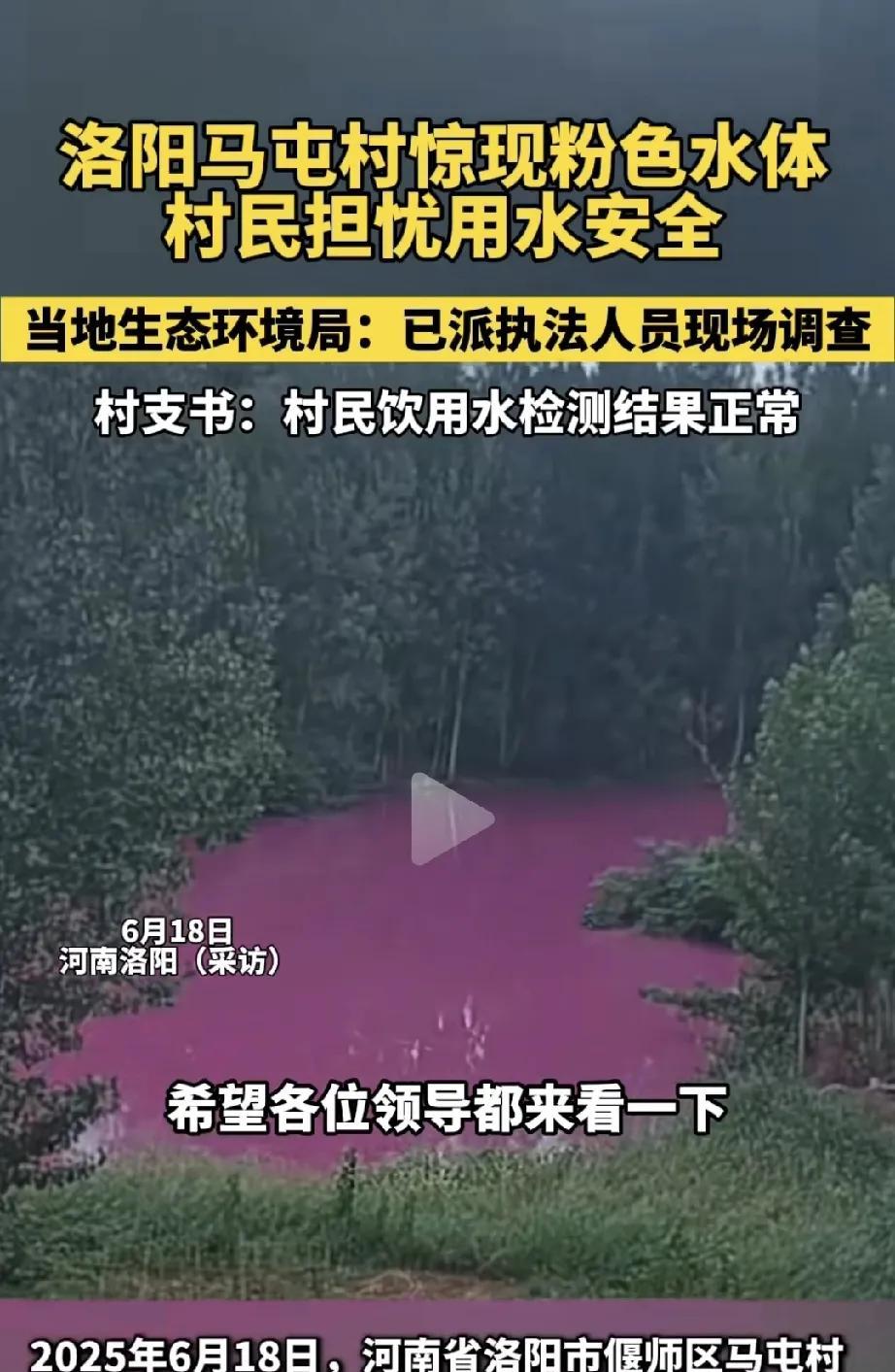 洛阳一地，挨着农田的水渠的水是粉色的，乍一看还挺好看，但仔细想想有点“不正常”，