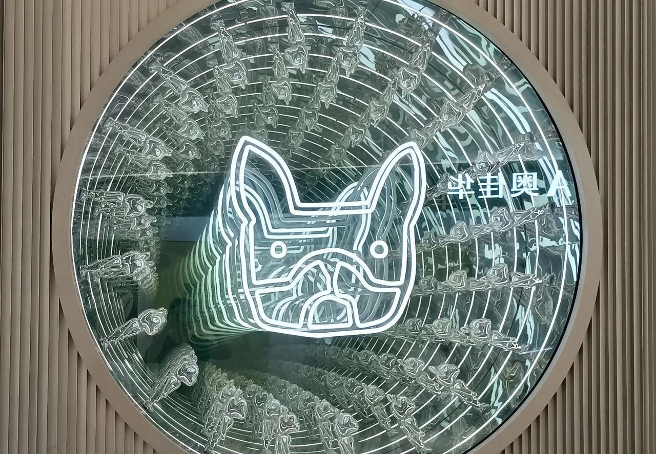 我最滿意的一点，就是自己拍照的水平有所提高。
尤其是写文章，需要配更多的图。
我