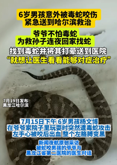 7月18日（发布），黑龙江牡丹江。6岁男孩意外被毒蛇咬伤，紧急送到哈尔滨救治。爷