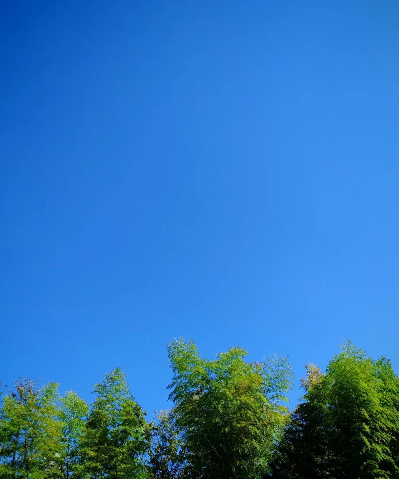 这么干净的蓝天、绿叶、红心。
猜猜今天天气怎样？气温多少？