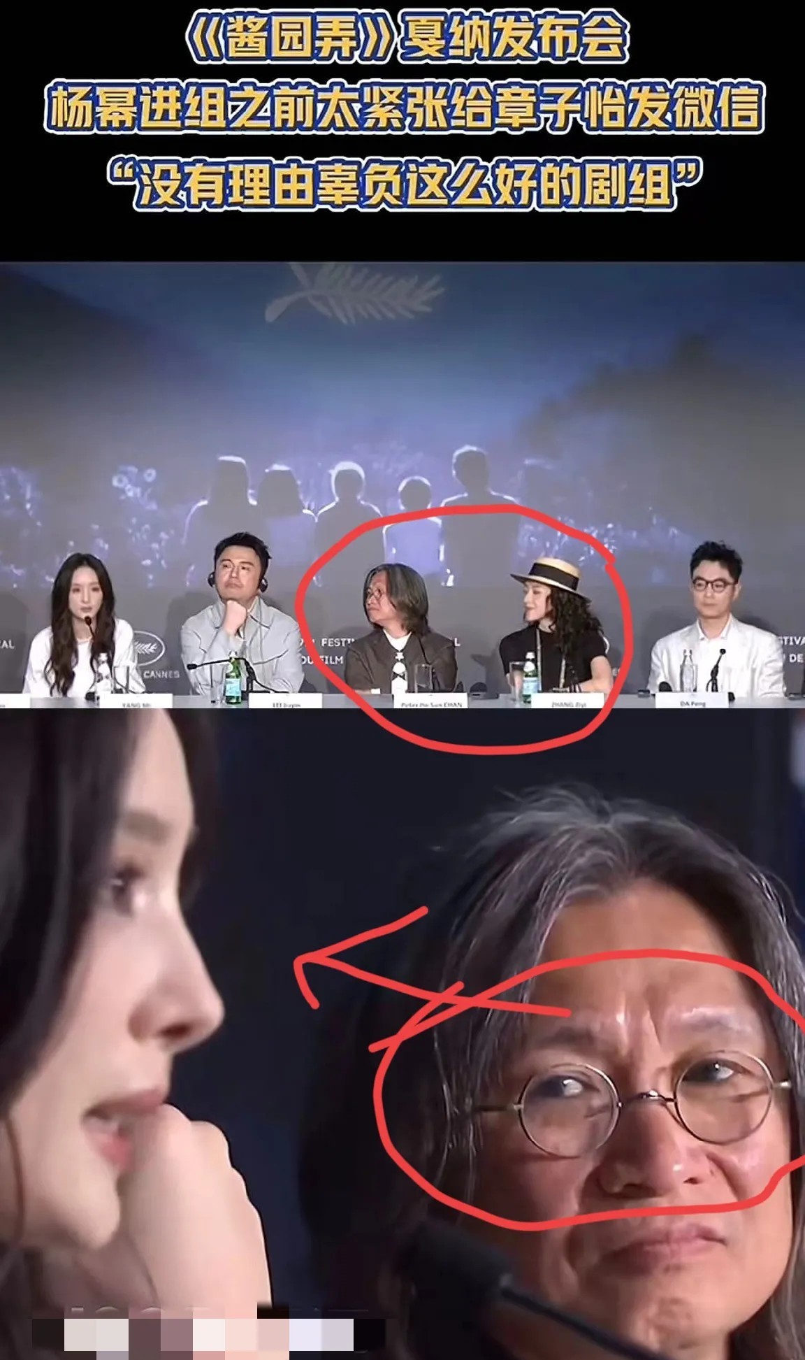杨幂啊，

你这次戛纳发布会稍微意思一下就行了，你看到了没？导演看你的眼神里全