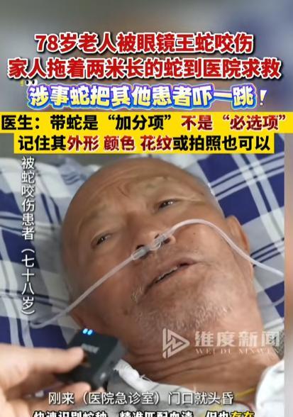 “致死率99%！”云南临沧，一老人外出散步时，见一条眼镜王蛇被咬伤，打算过去救治